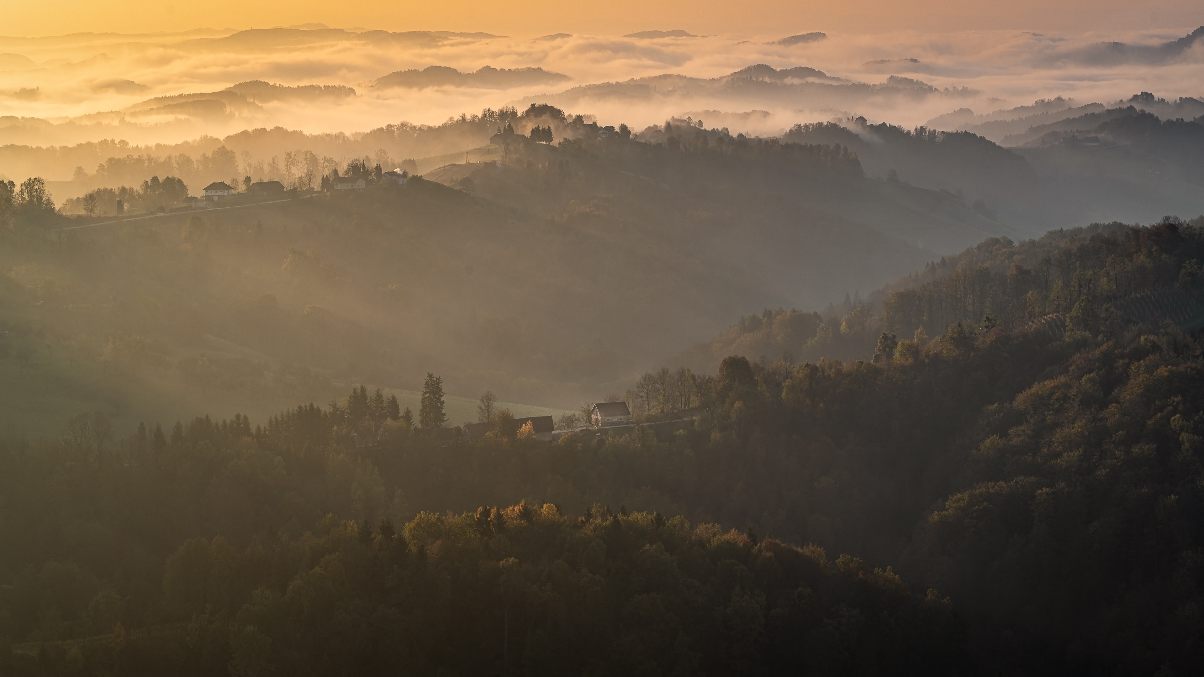 Golden Morning⎮Plac