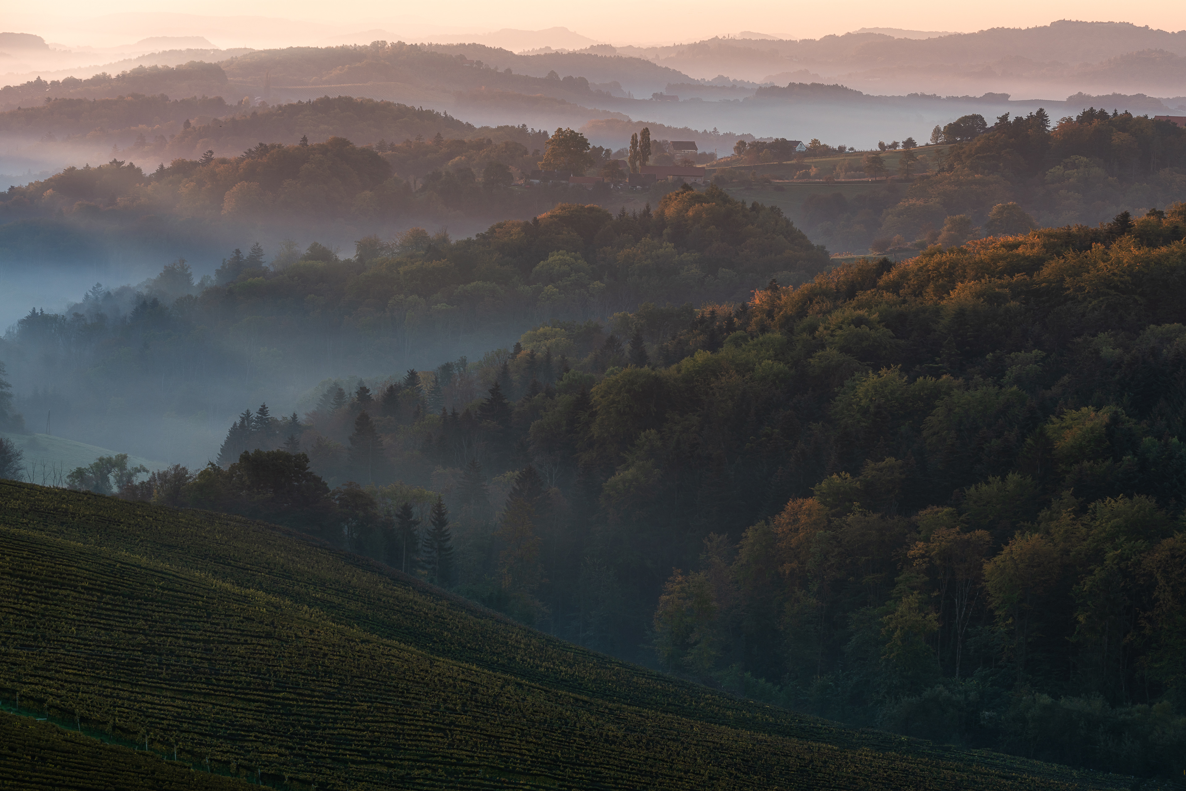 Autumn Fields⎮Styrian Vineyards
