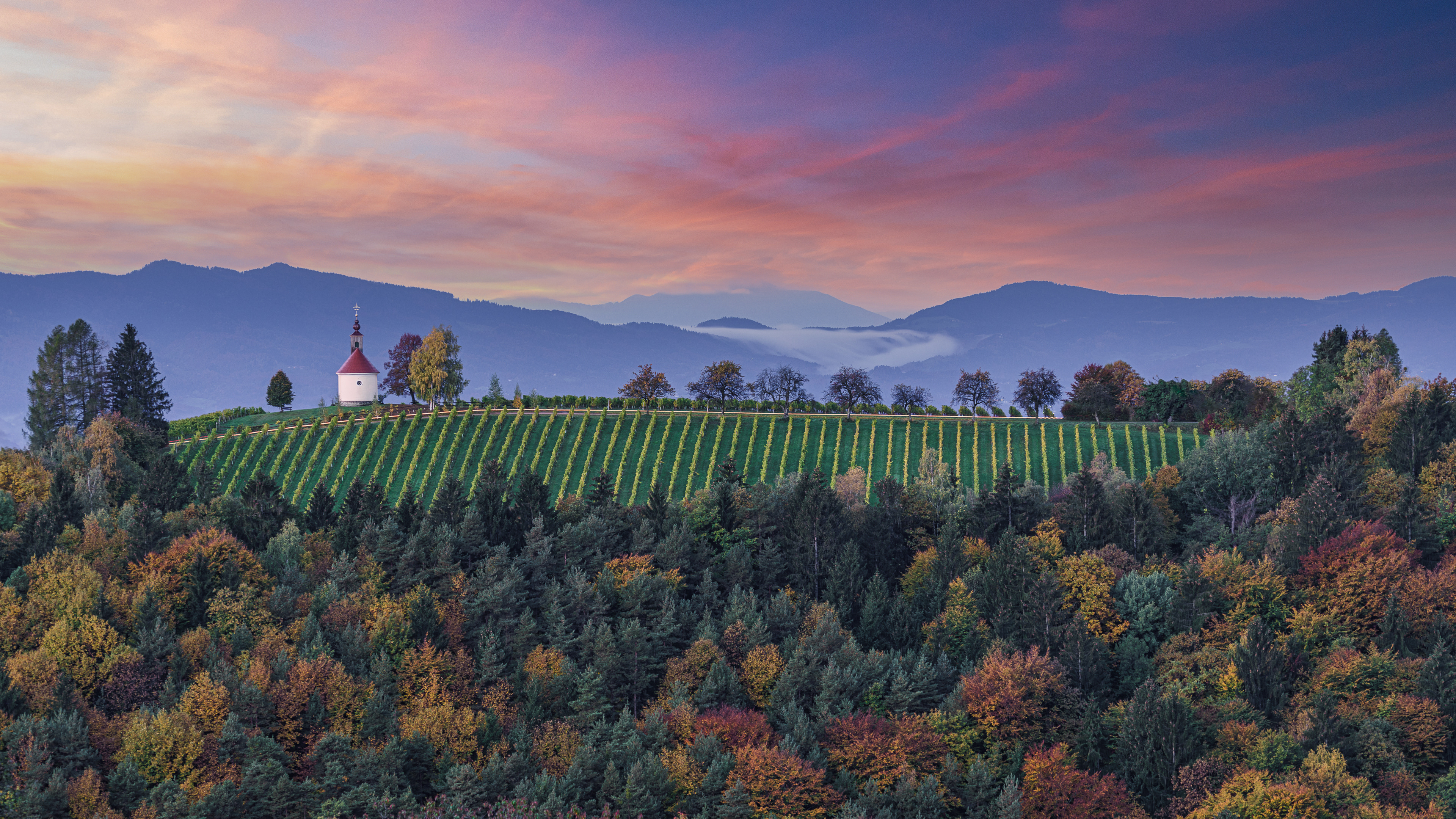 Church Hill⎮Styrian Vineyards