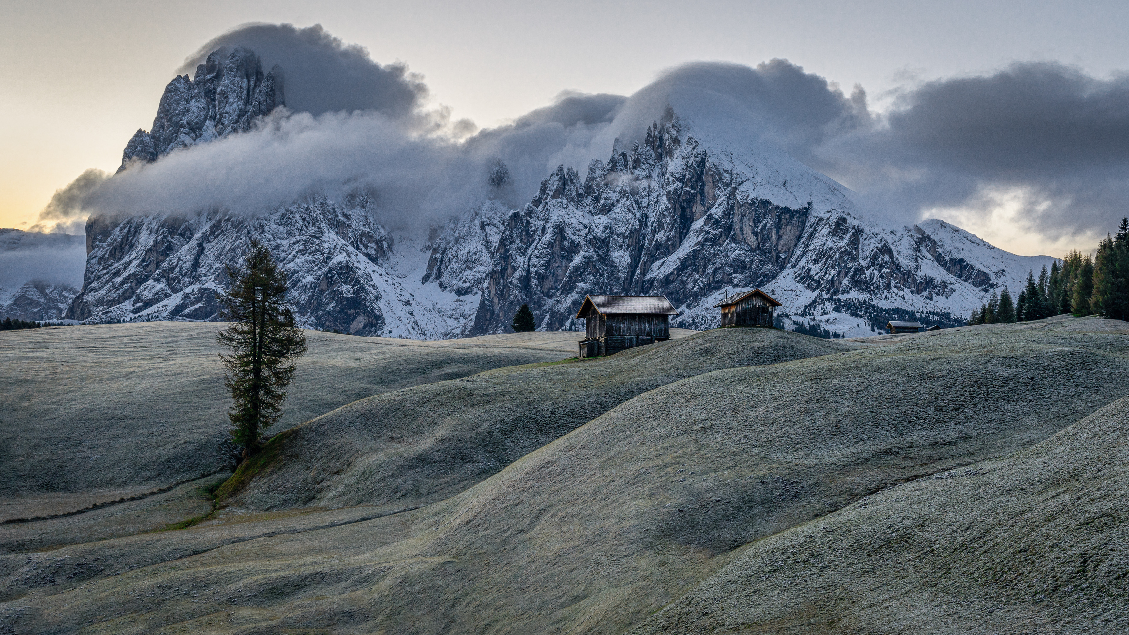 Frozen Morning⎮Alpe Di Siusi