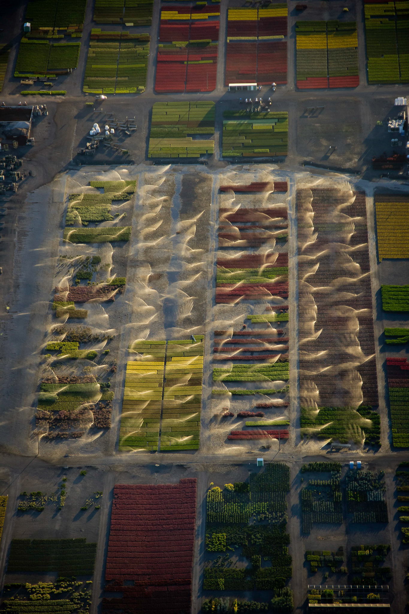 A nursury is irrigated in the early evening north of Monmouth