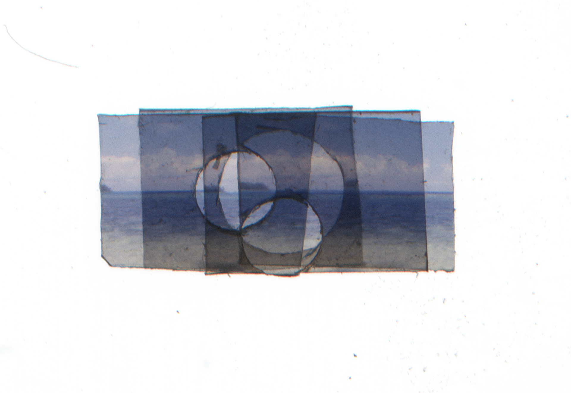 Shed Some Light | raw scan