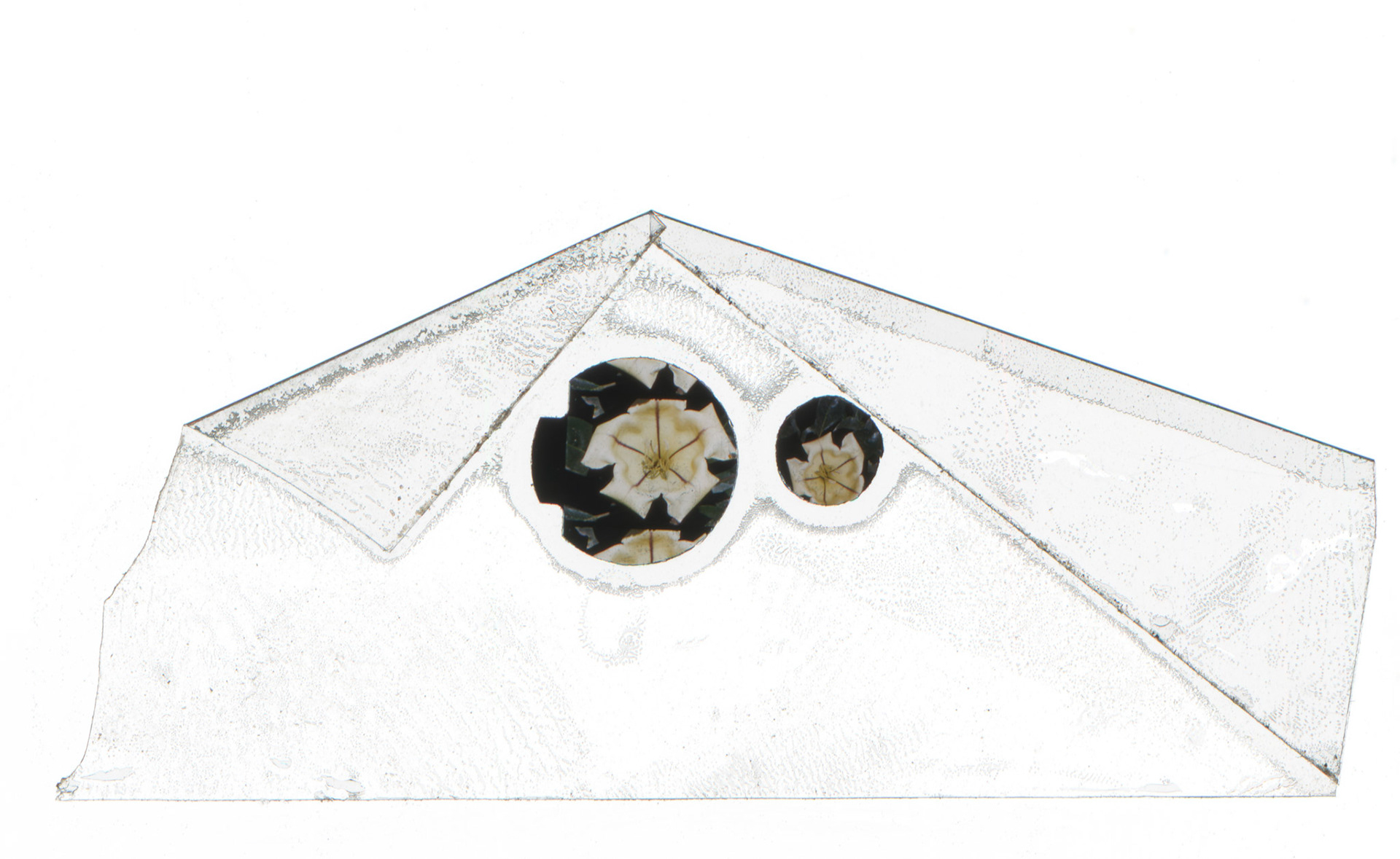 'The Last Days of Chez Nous' - Sticky Tape and 8mm film fragments 2023