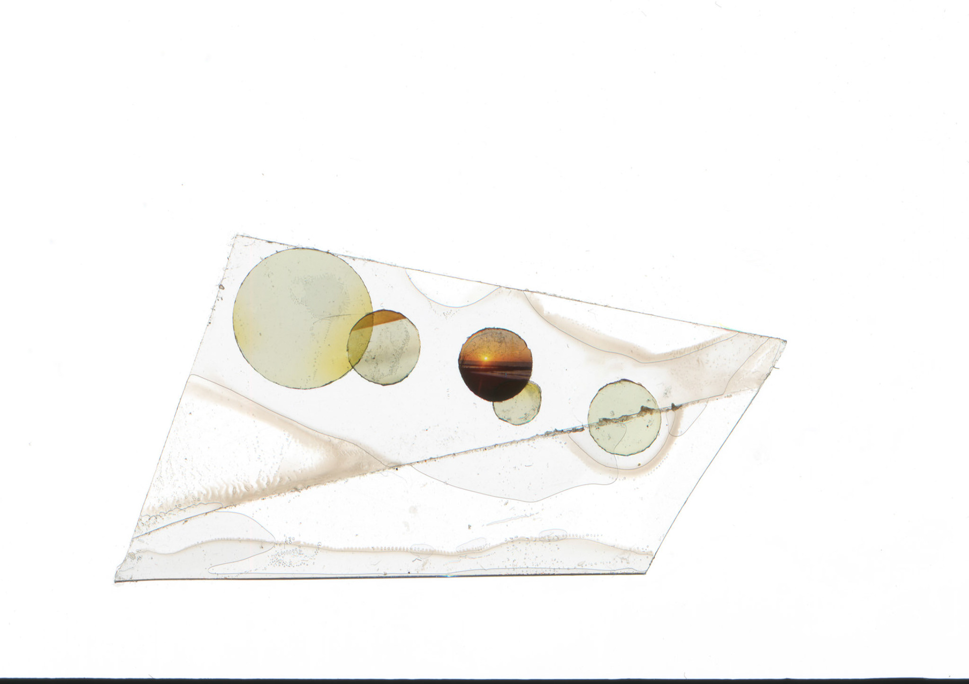 'The Morning of the Earth' - Sticky Tape and 8mm film fragments 2023