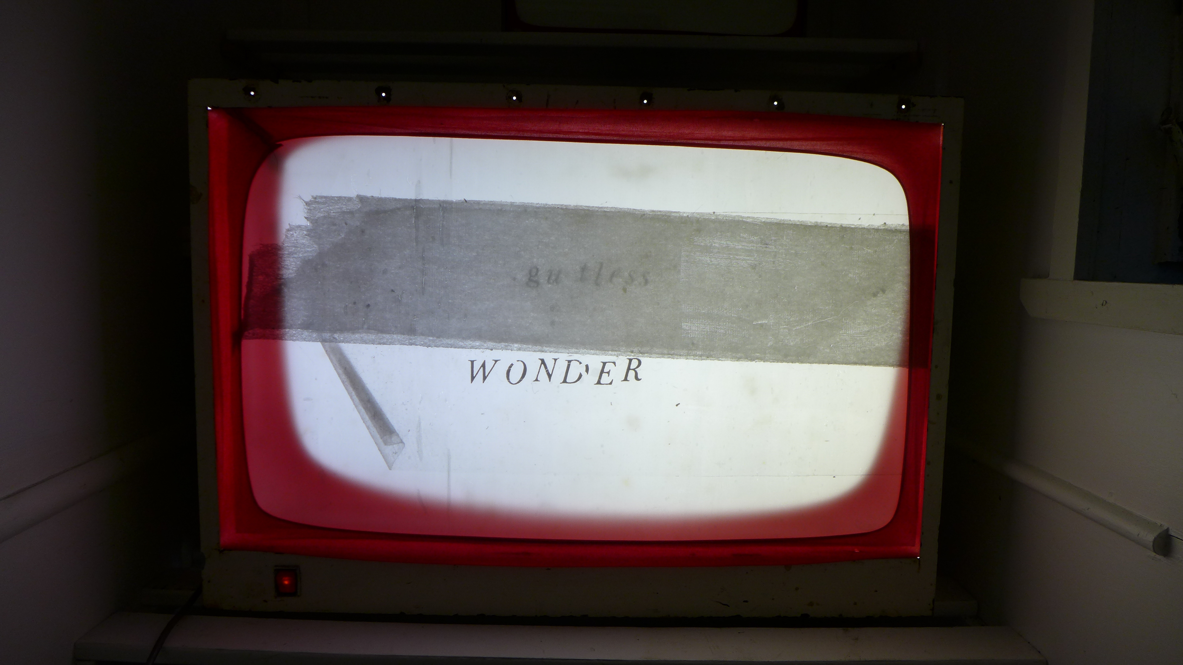 'Gutless Wonder'
