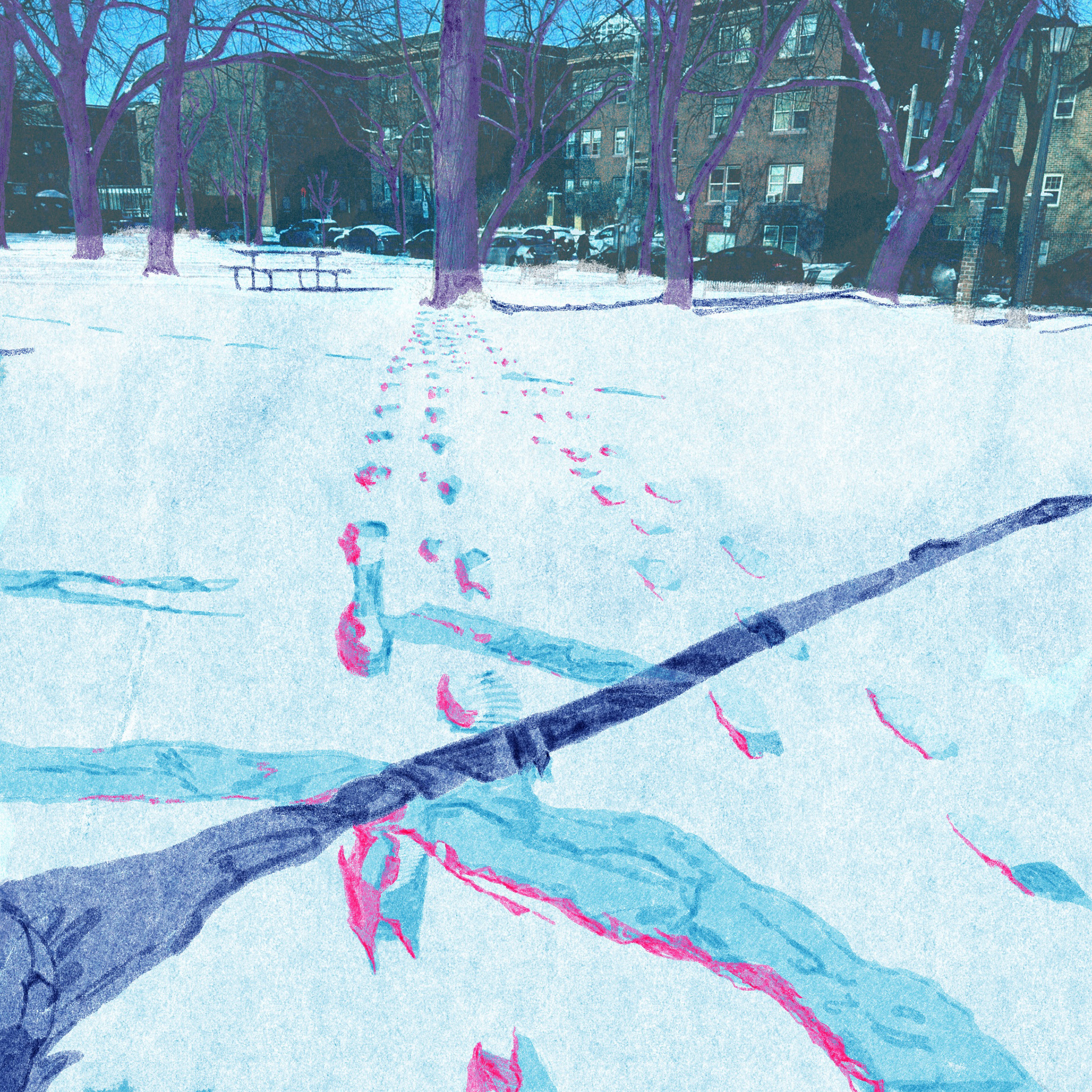 Rabbit’s Footprints in Winter, 2024.