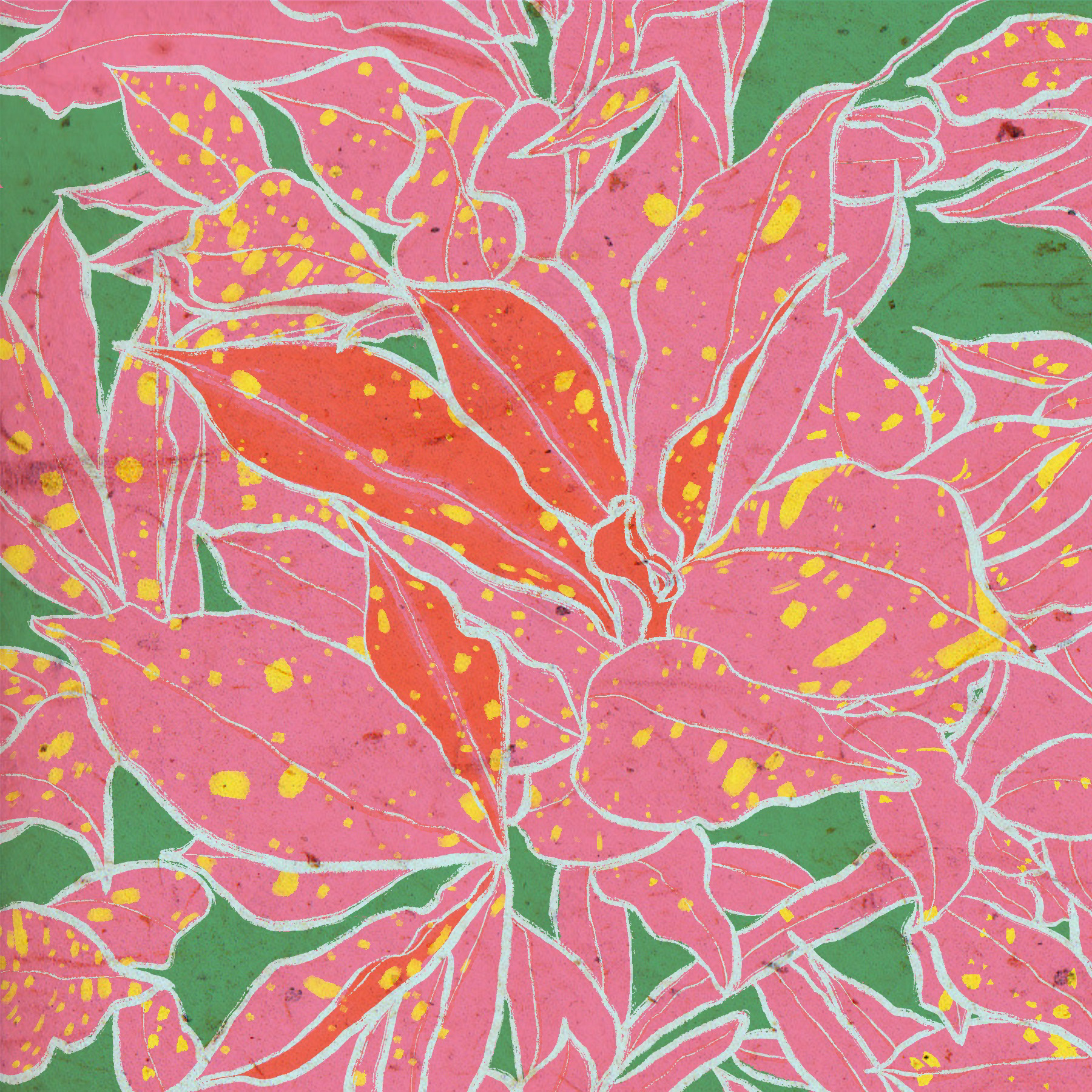 Aucuba Robusta WPFang & Soong, 《桃叶珊瑚》, 6 × 6 in (15 × 15 cm), Digital Painting, Tangier, Morocco, 2026.