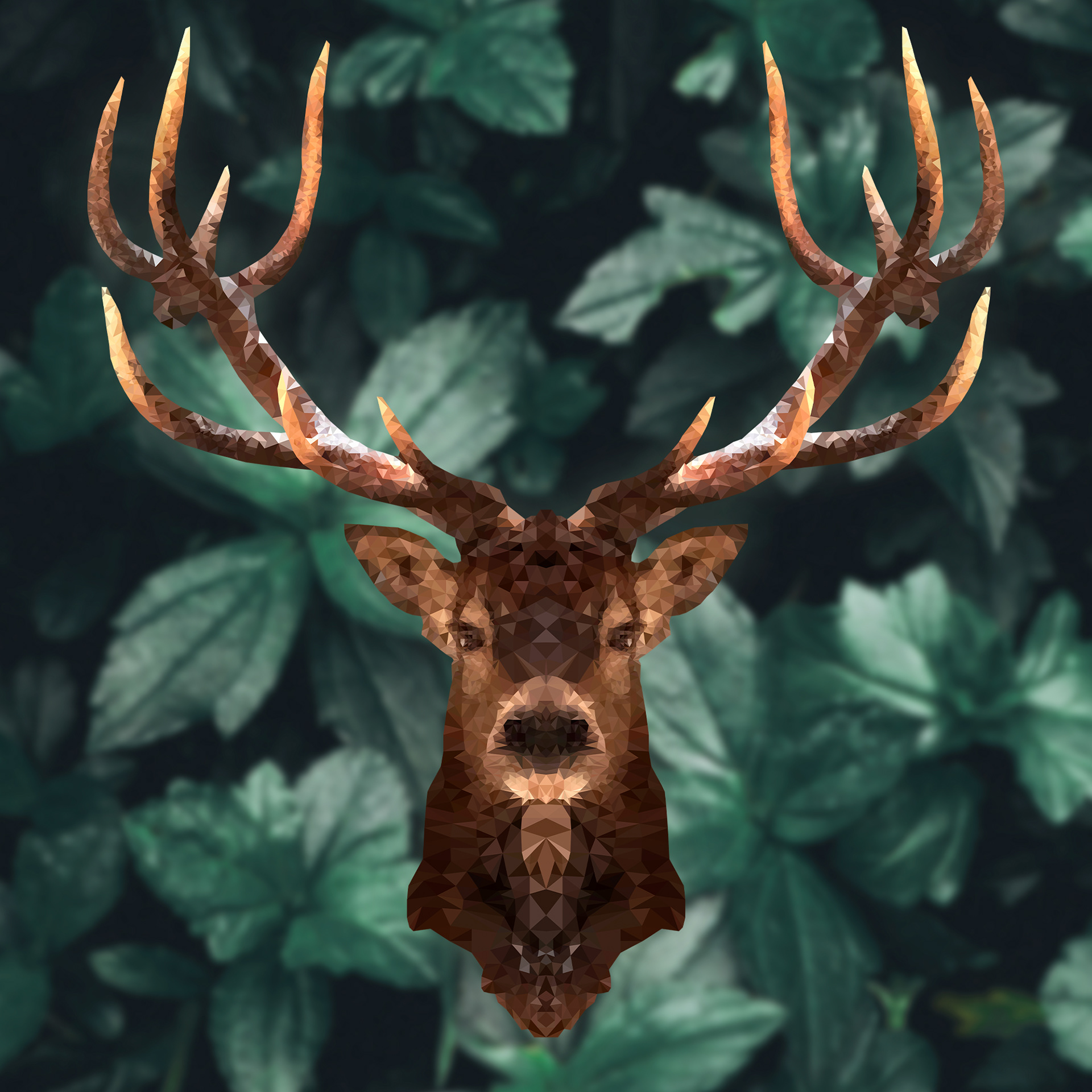Venado (2020)