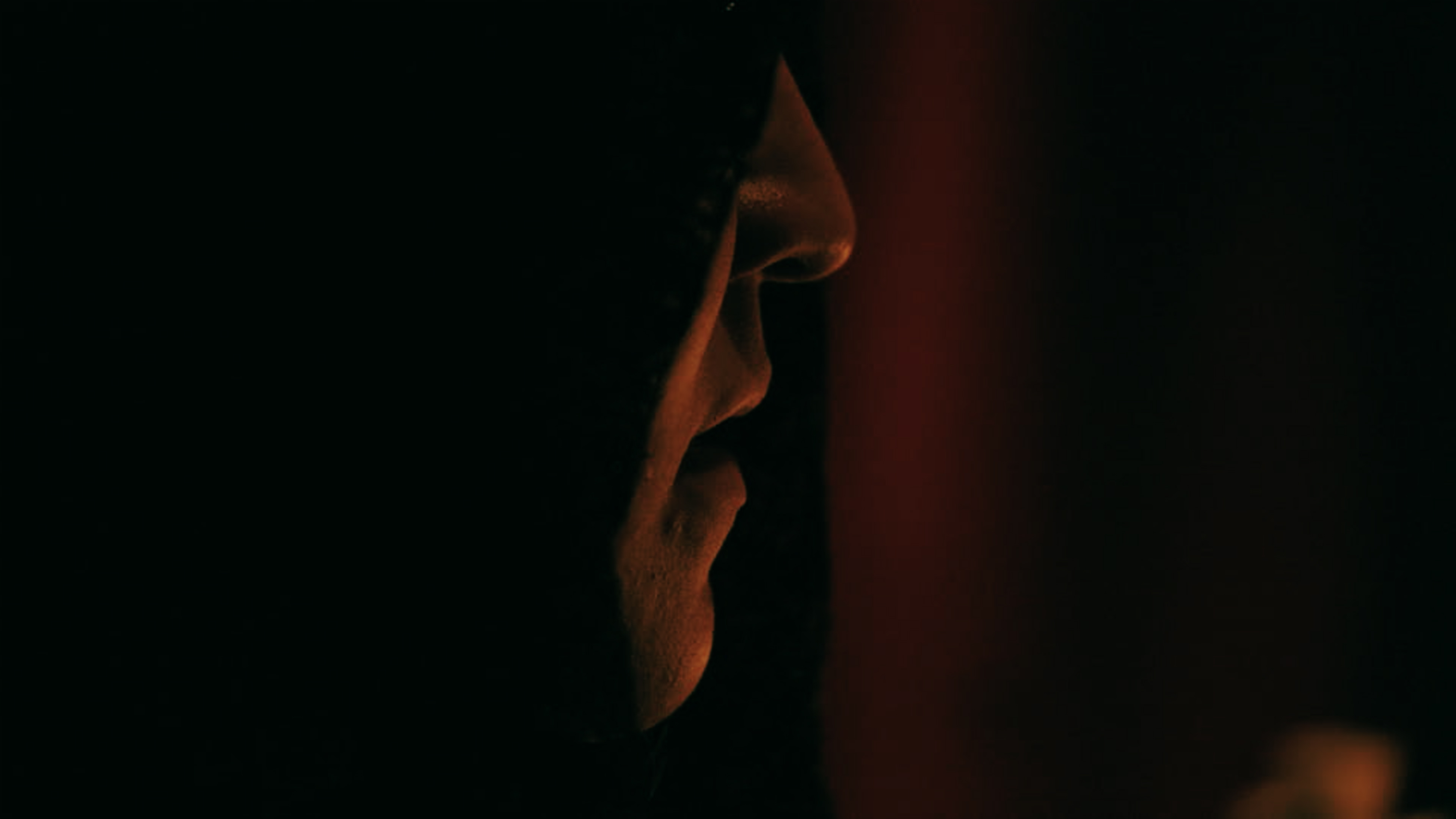 Reflejo Penitente (2024)