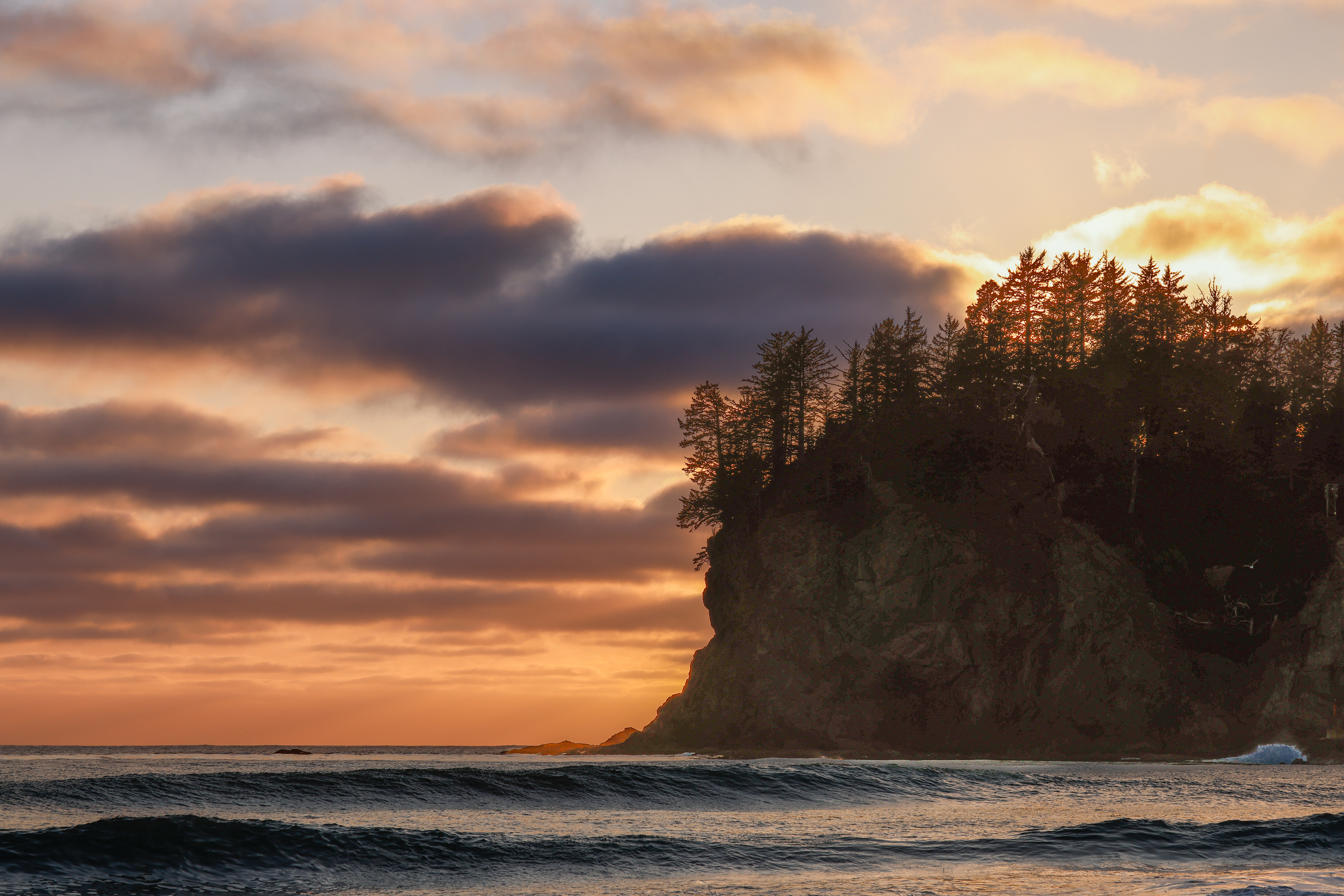 First Beach, La Push