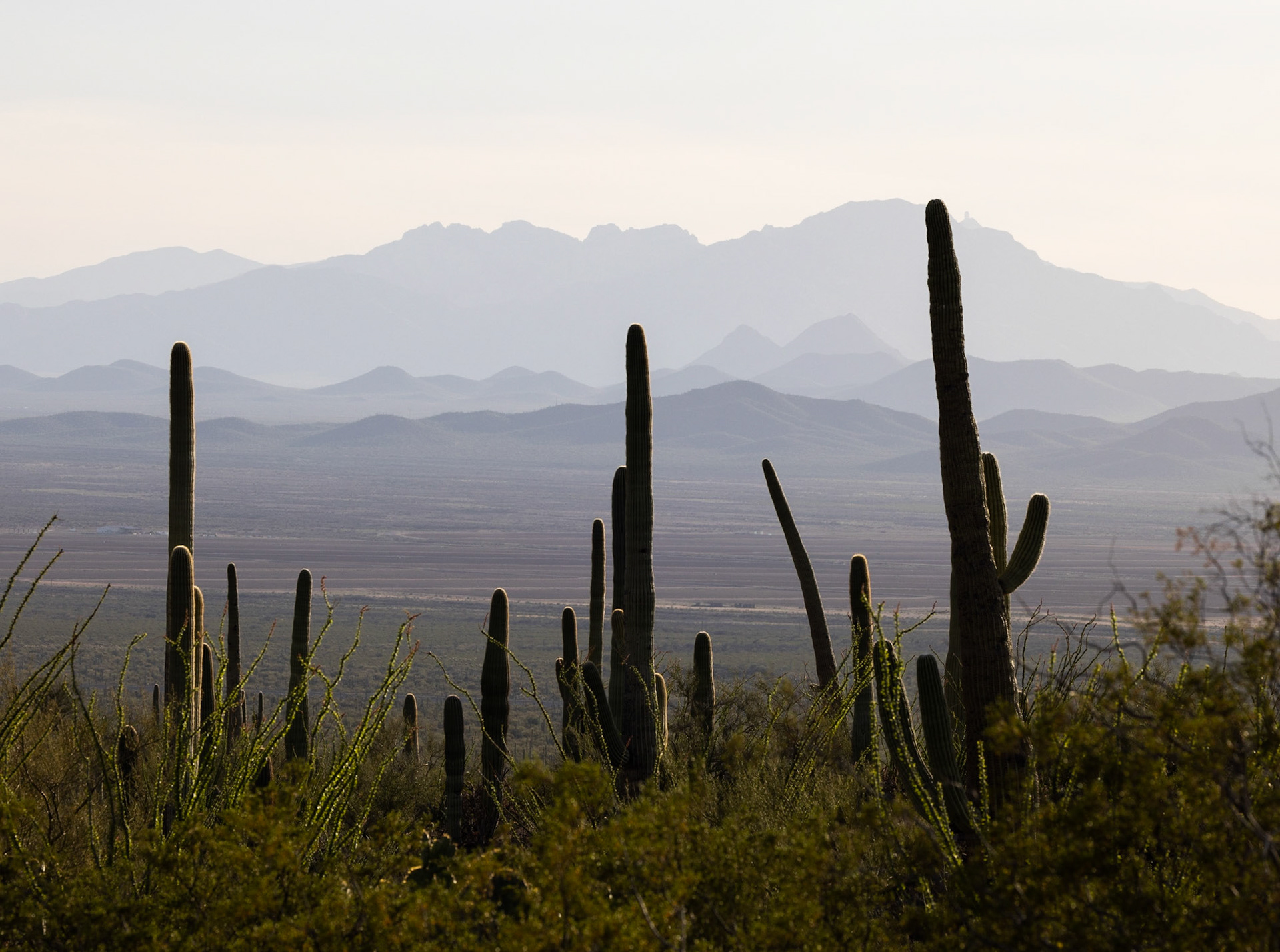 Tucson Mountain Park