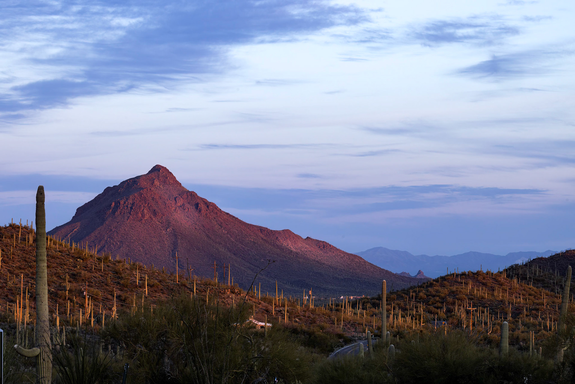 Tucson Mountain Park