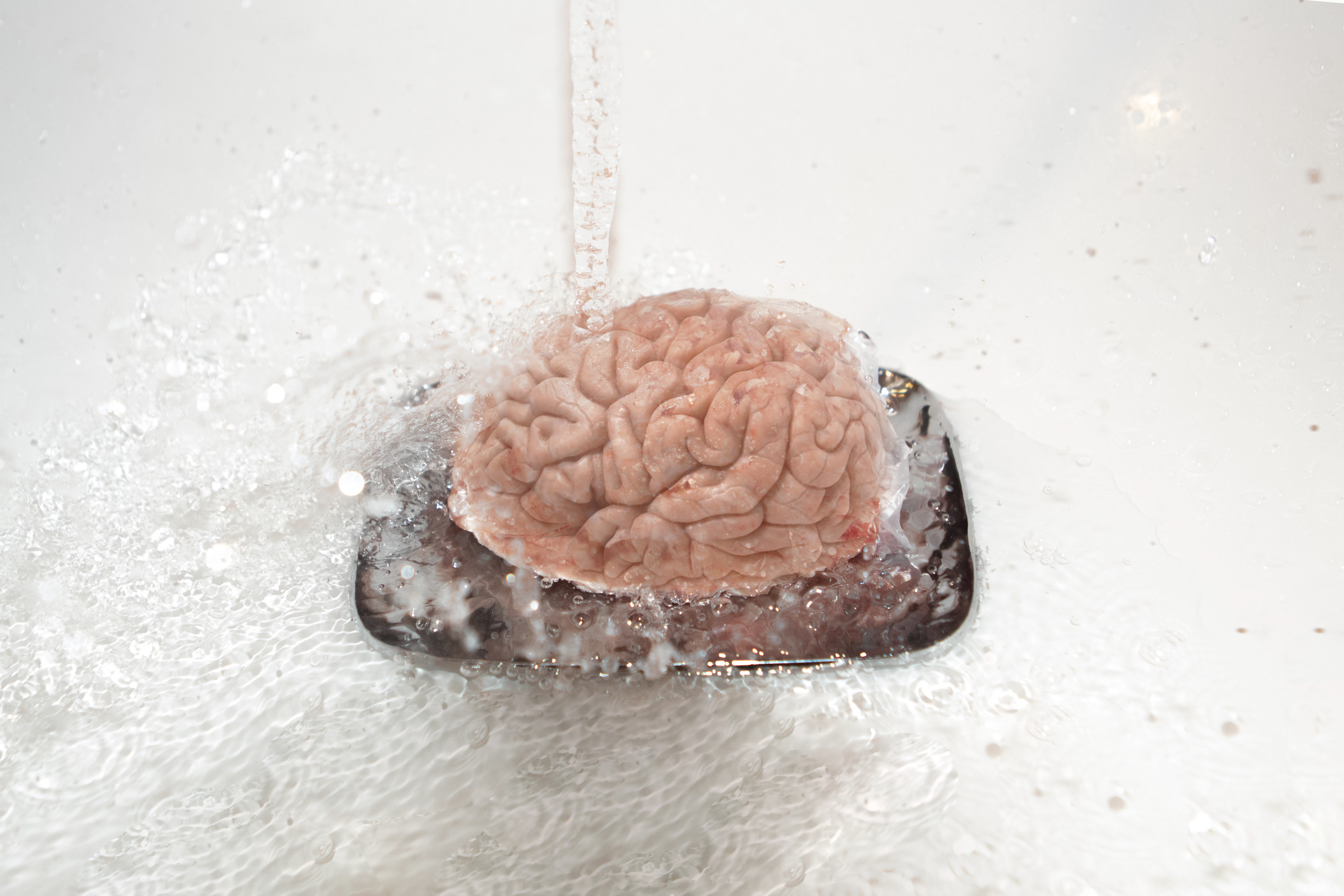 Brain texture overlay