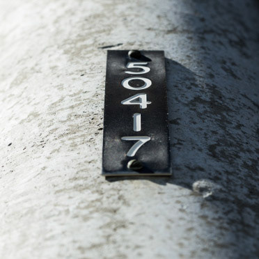 Numbers | Shy Fox Photography