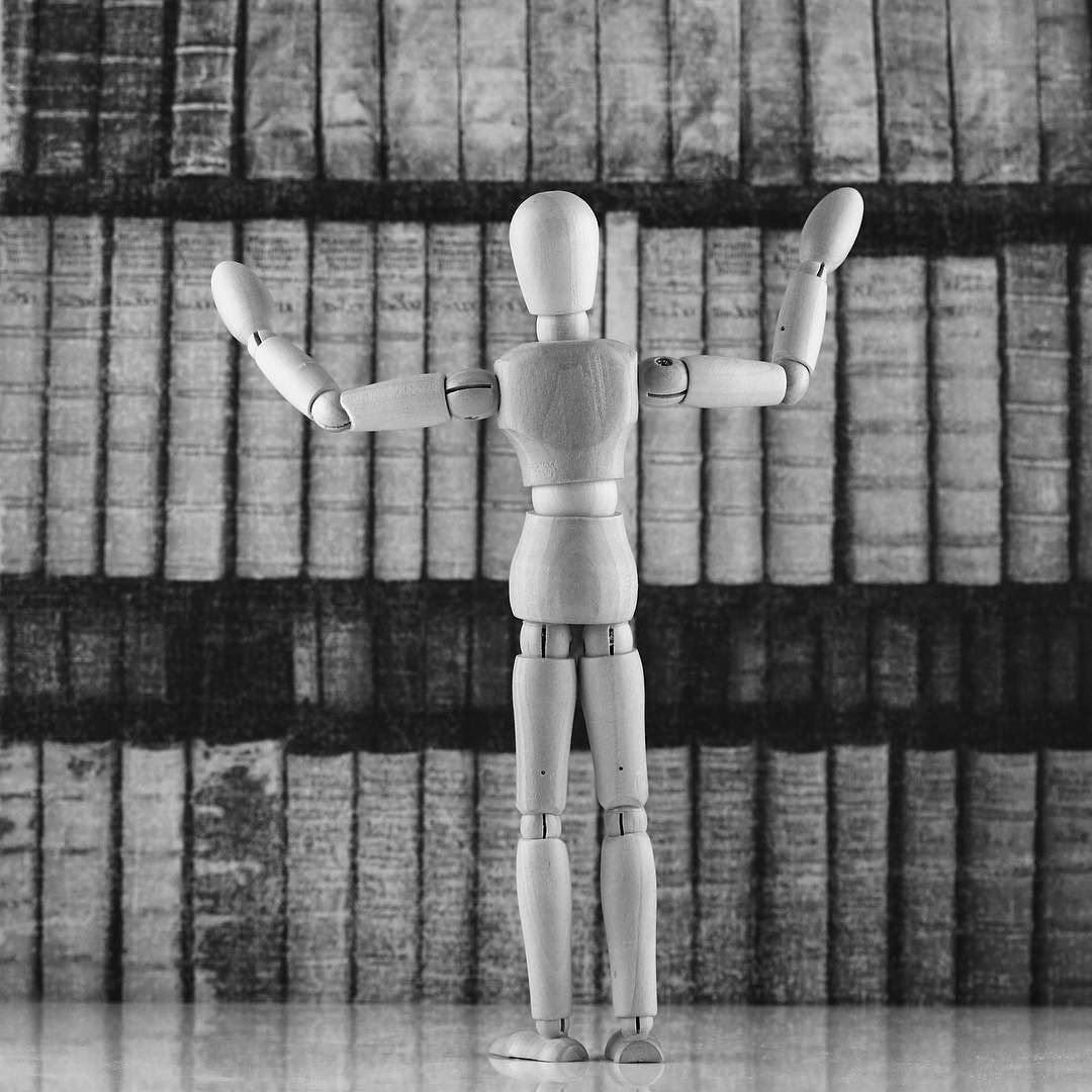 Currently Reading | Wooden Mannequin Project | Shy Fox Photography