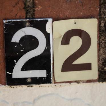 Numbers | Shy Fox Photography