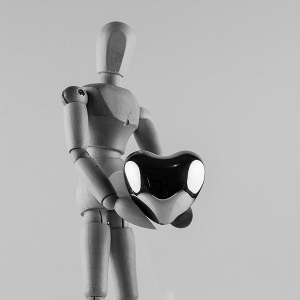 Heart | Wooden Mannequin Project | Shy Fox Photography