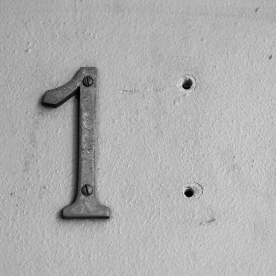 Numbers | Shy Fox Photography