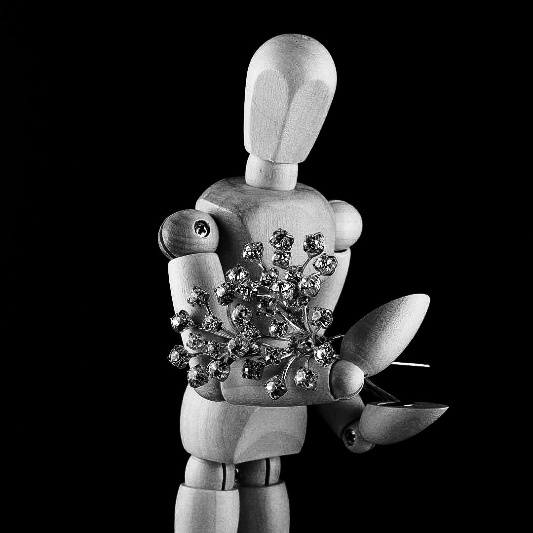 Acquired | Wooden Mannequin Project | Shy Fox Photography