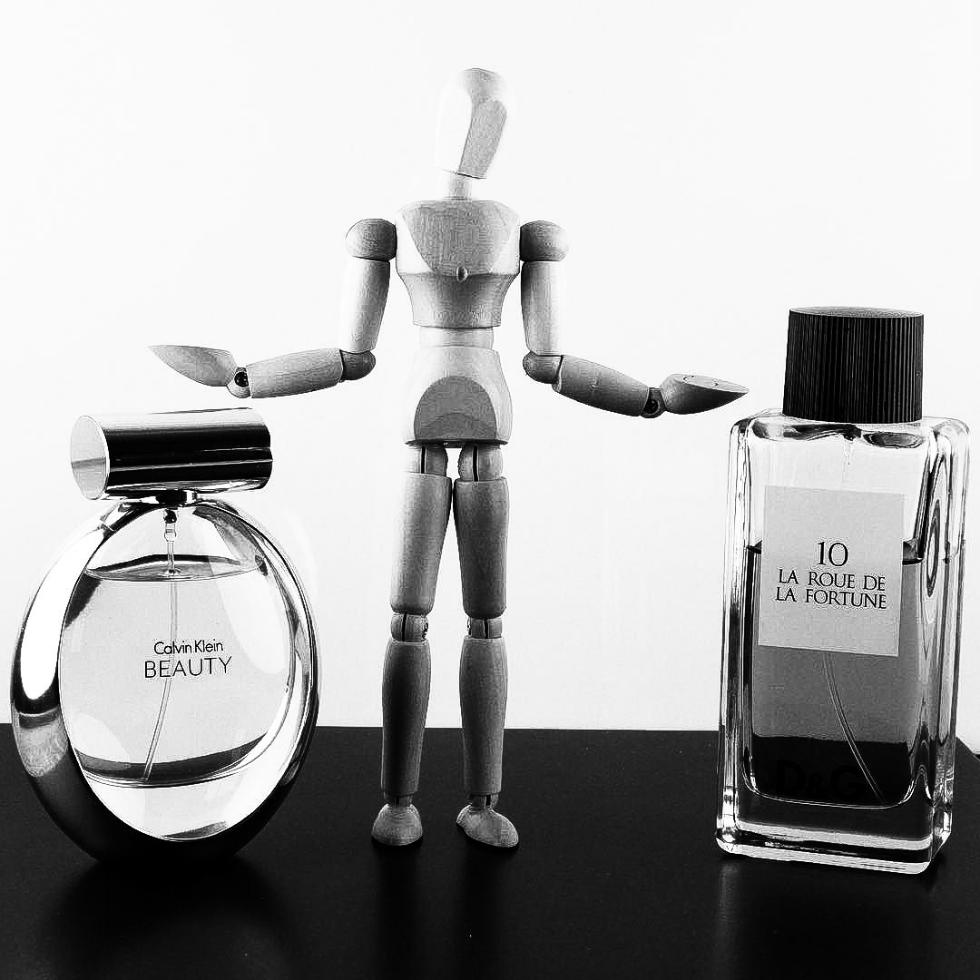 Choices | Wooden Mannequin Project | Shy Fox Photography