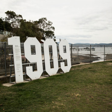 Numbers | Shy Fox Photography