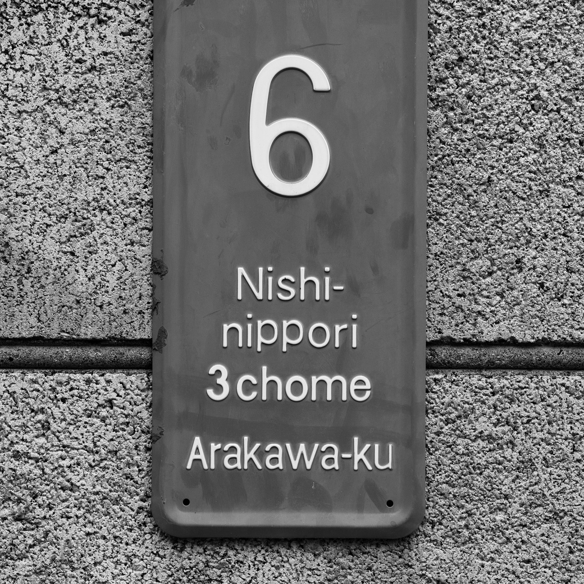 Numbers | Shy Fox Photography