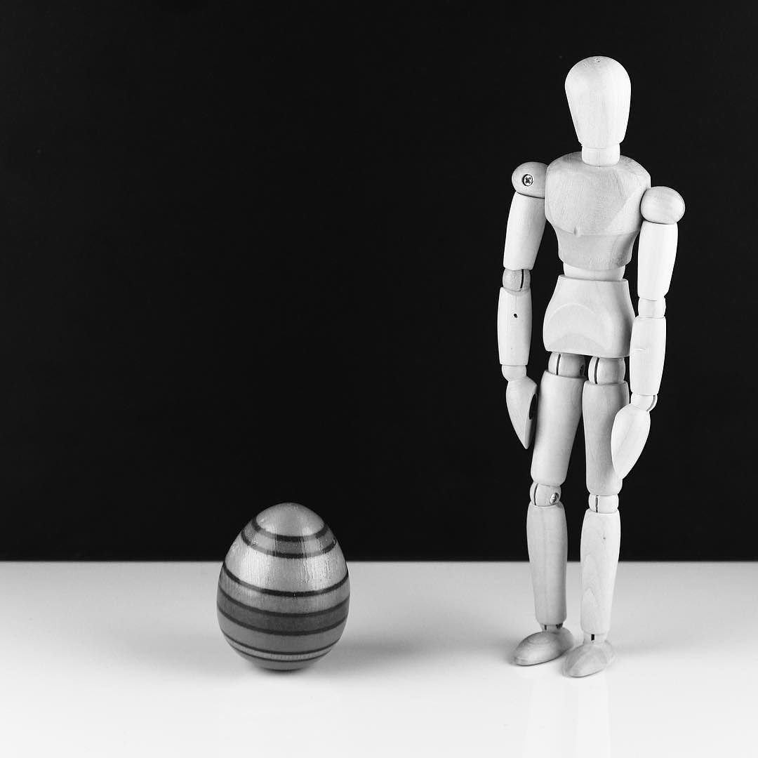 Egg | Wooden Mannequin Project | Shy Fox Photography