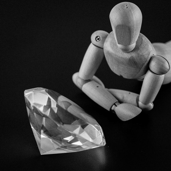 Gem | Wooden Mannequin Project | Shy Fox Photography