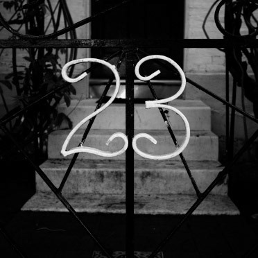 Numbers | Shy Fox Photography