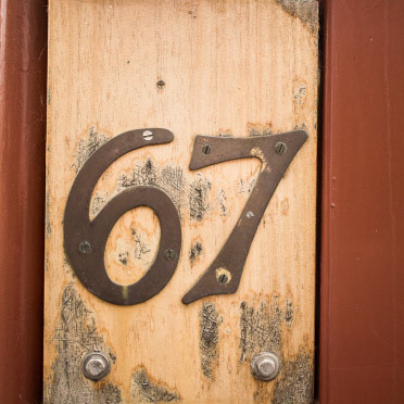 Numbers | Shy Fox Photography