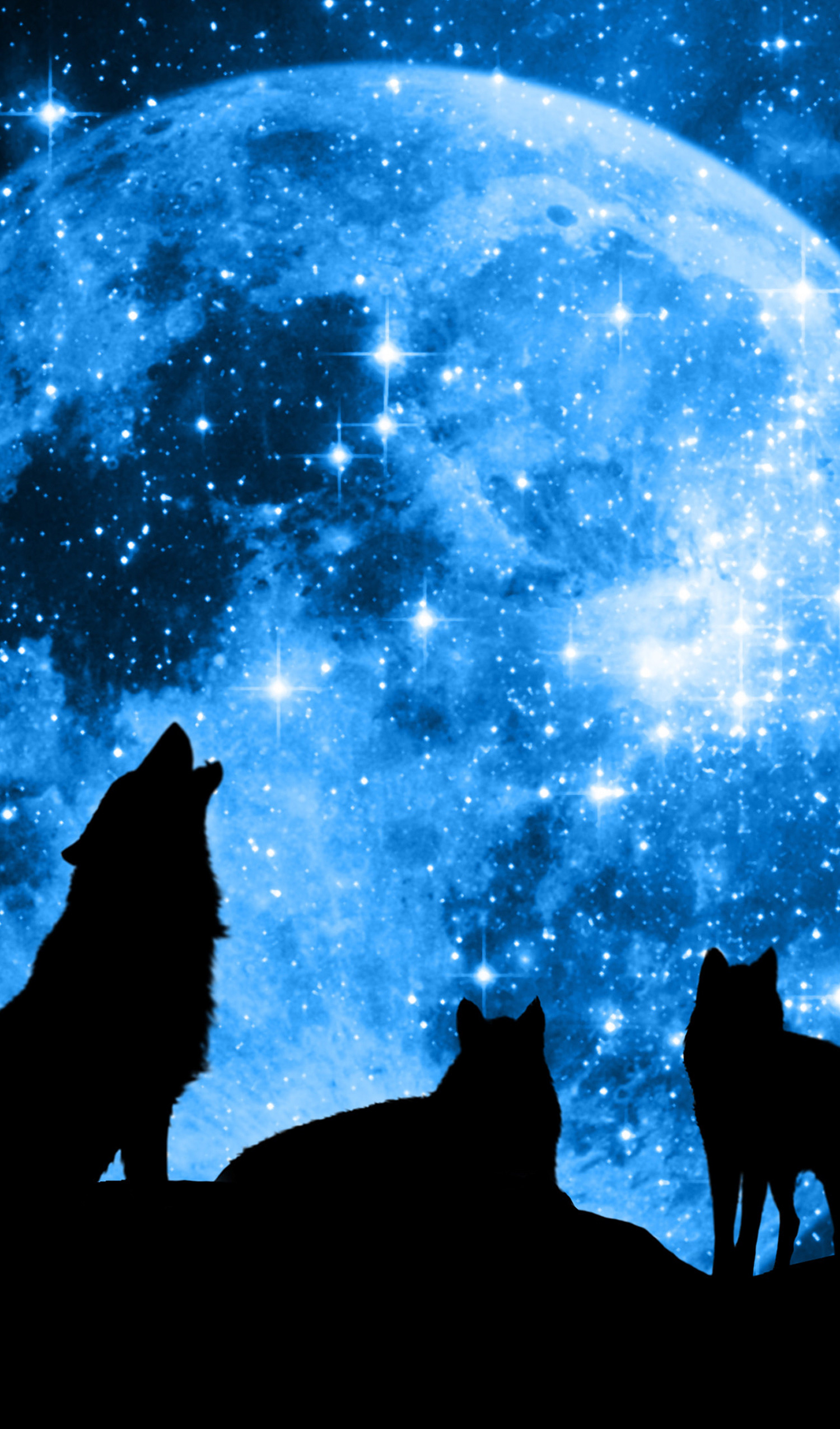W.7 WOLVES