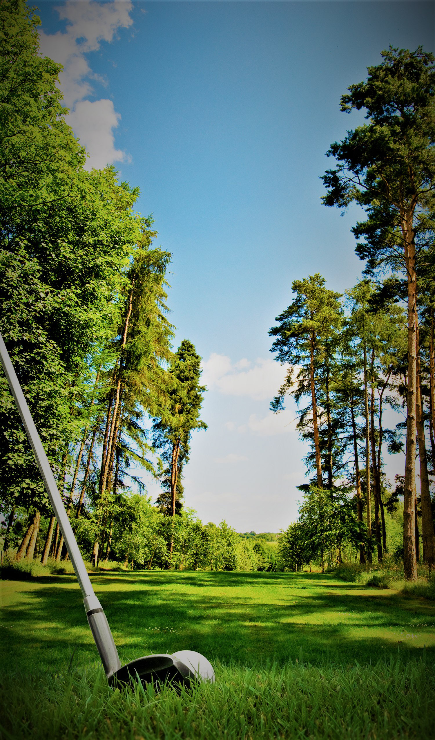 H.S.5.C GOLF III