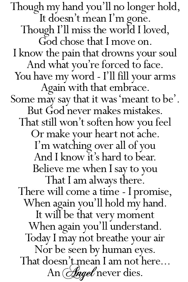 An Angel Never Dies (Adult)
