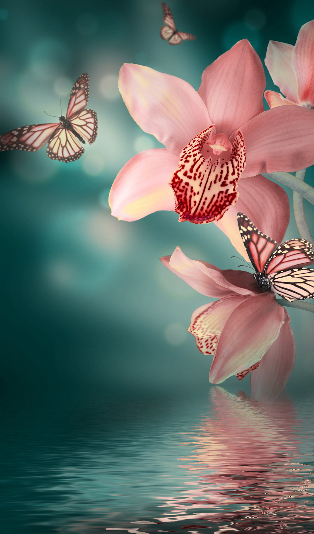 F.5.B Pink Orchid