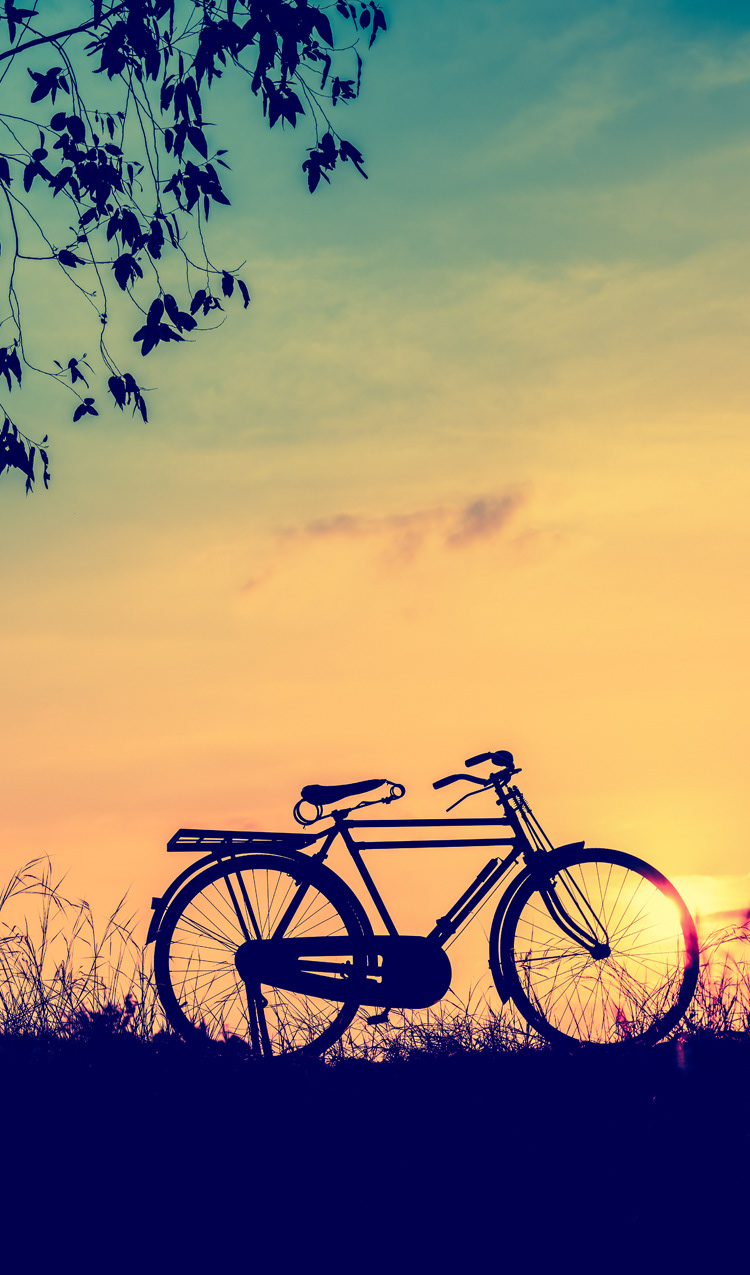 H.W.6 CYCLING