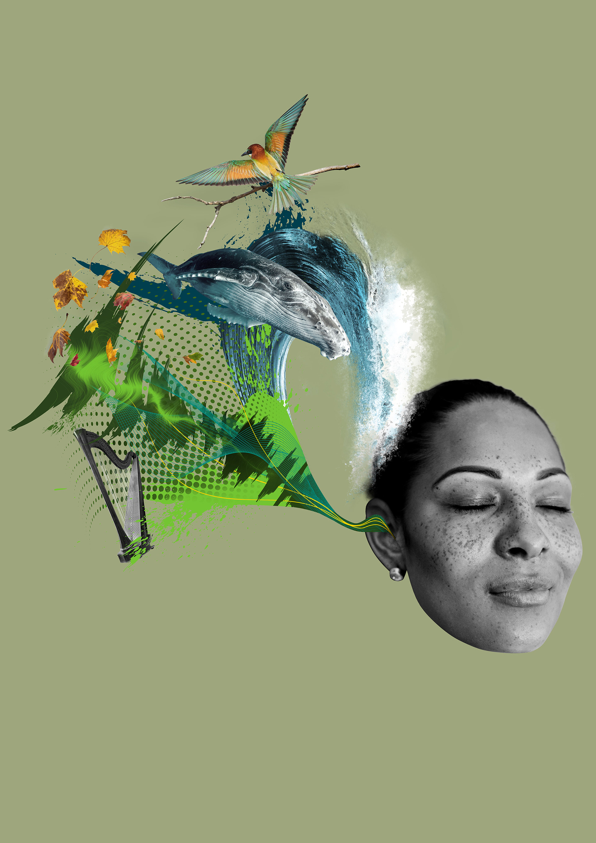 Illustration: Ins Ohr