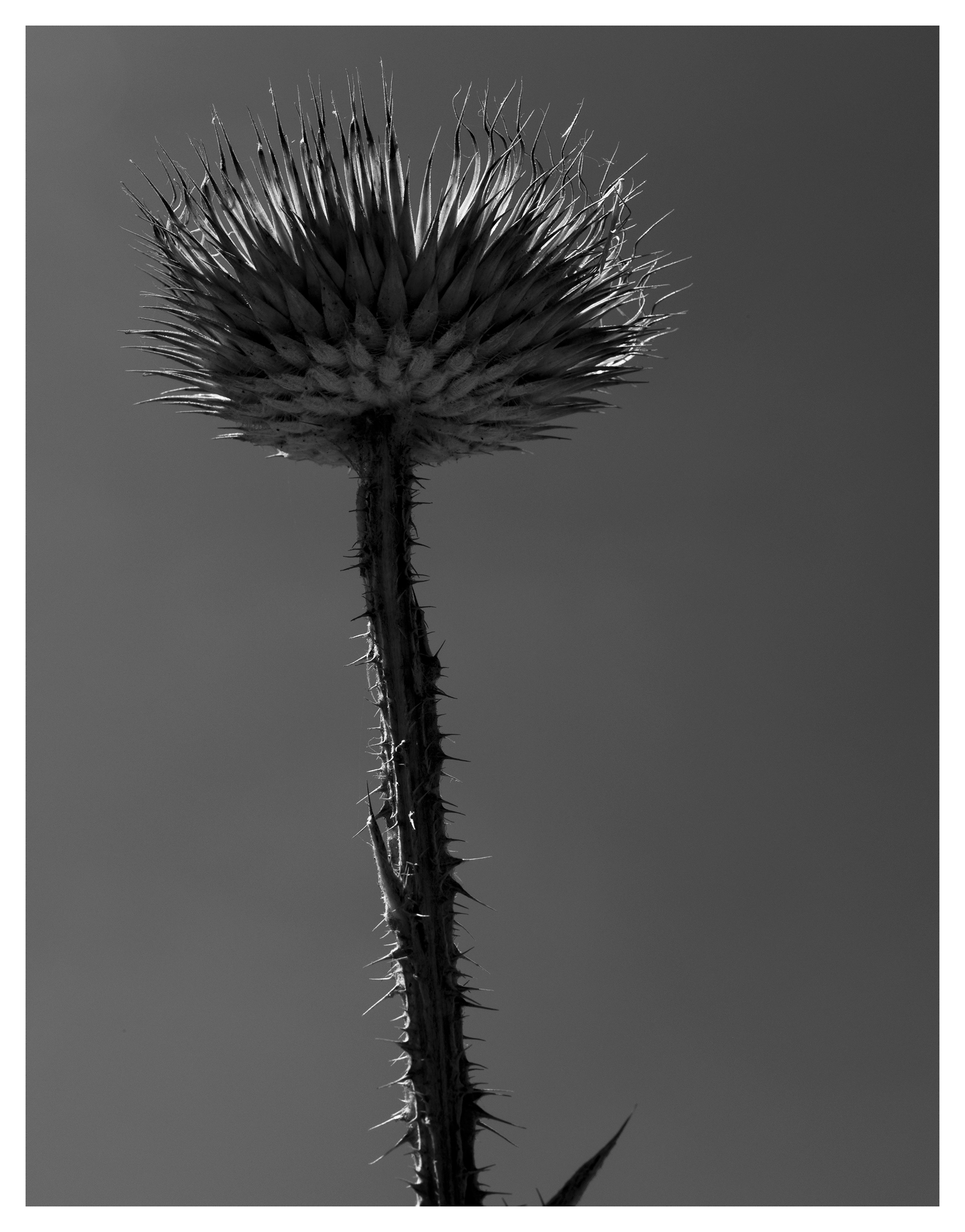 archive the mag / webitorial / 2018