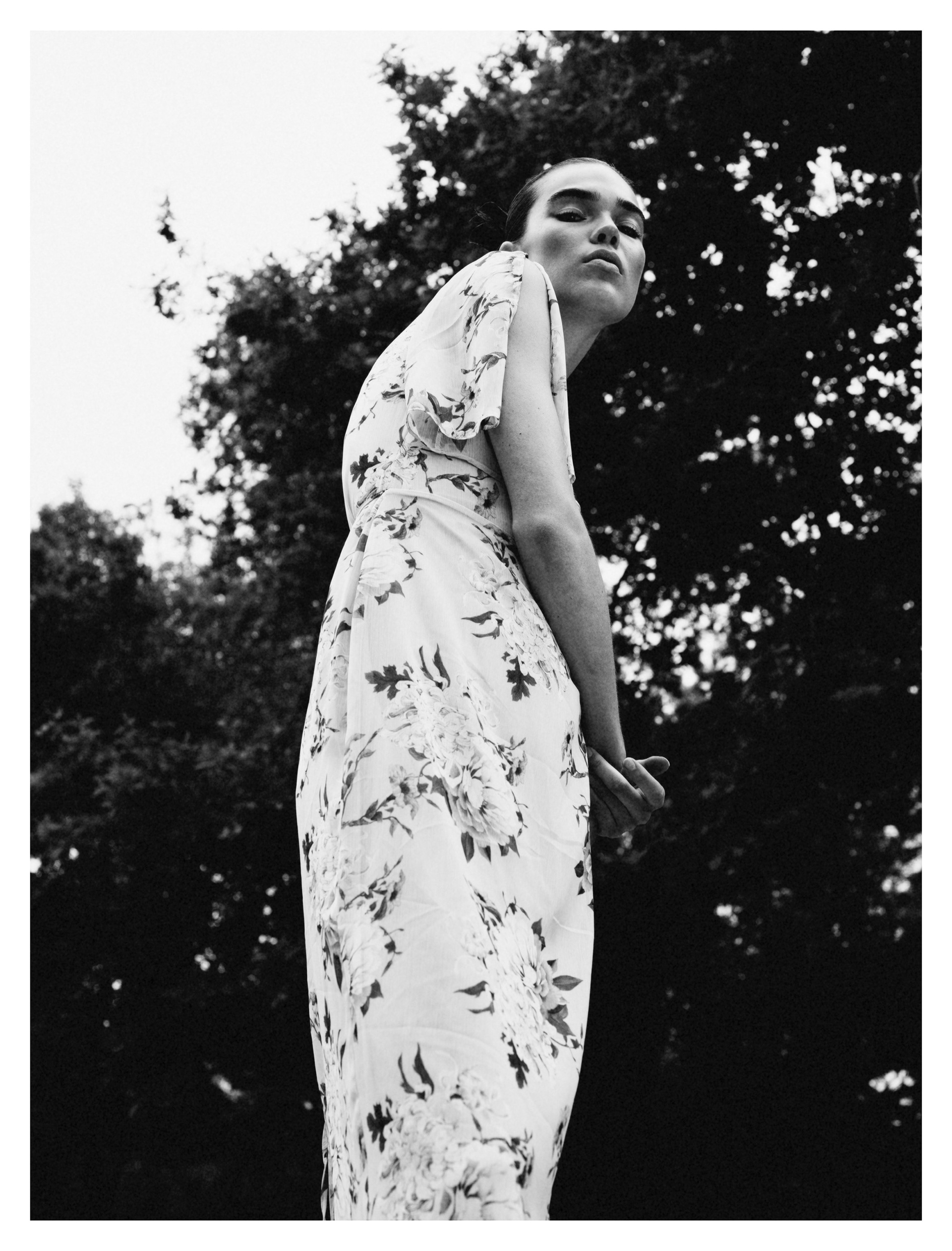 fox hunt / personal project / 2017