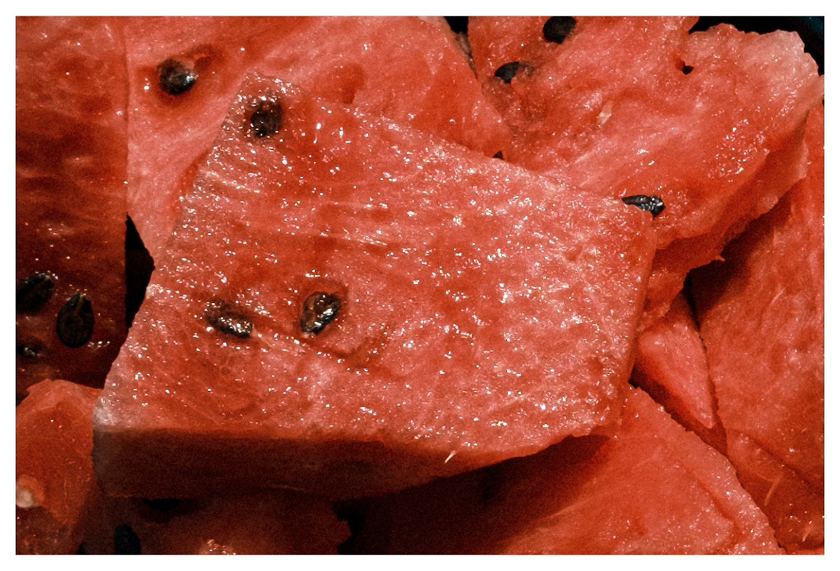 fresh / personal project / still life / 2021