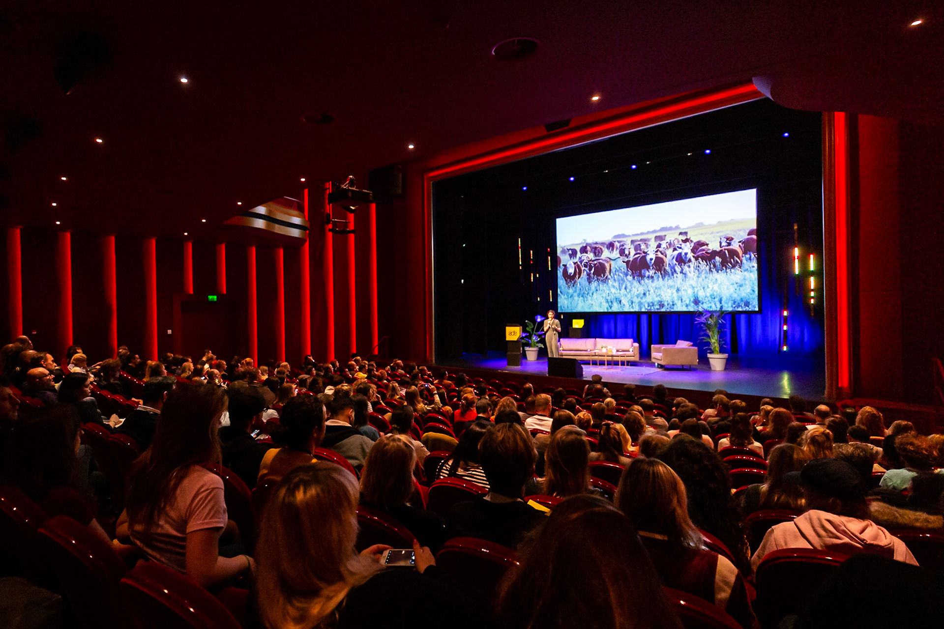 Roeland Sjoerd Hoefsloot