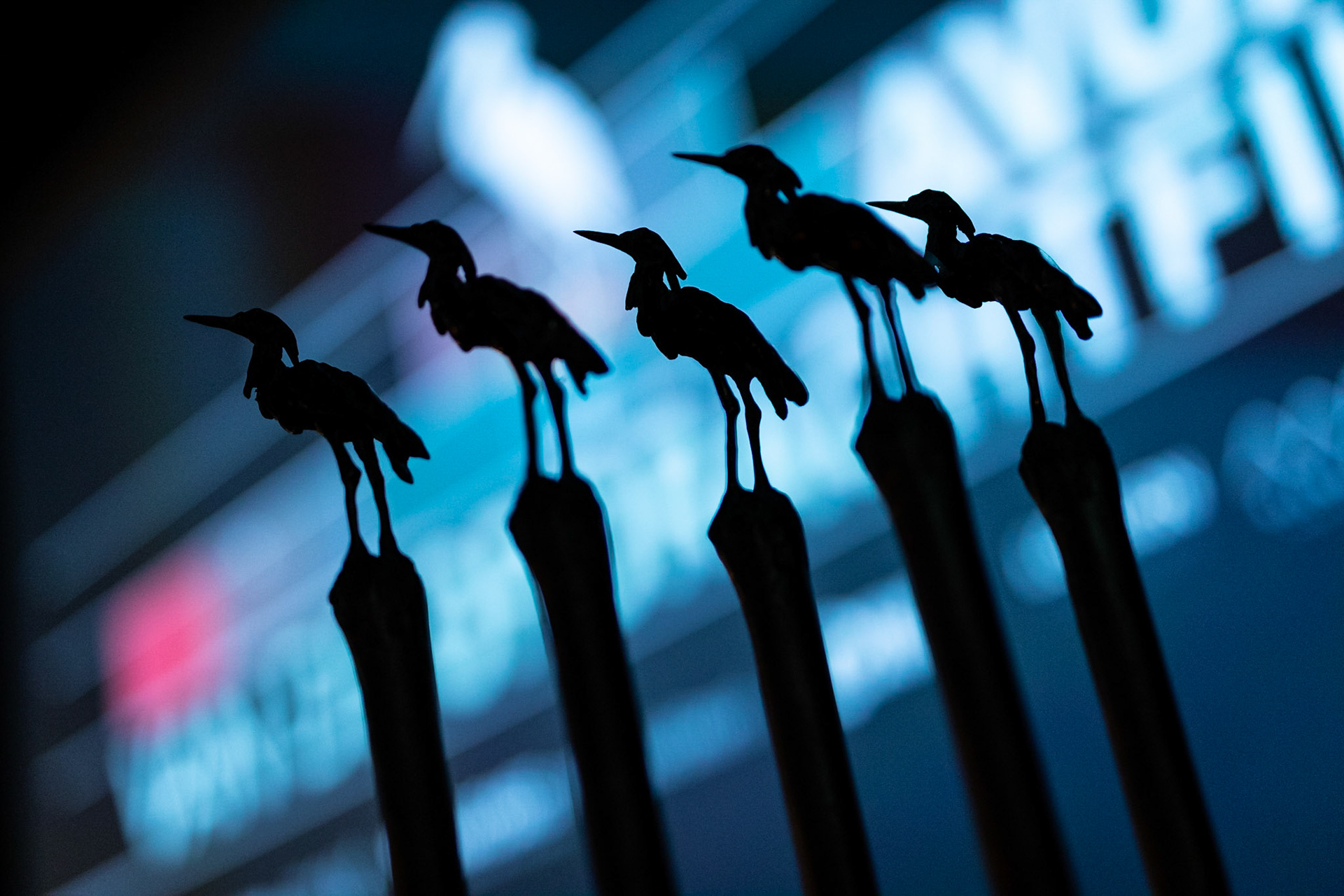 Roeland Sjoerd Hoefsloot