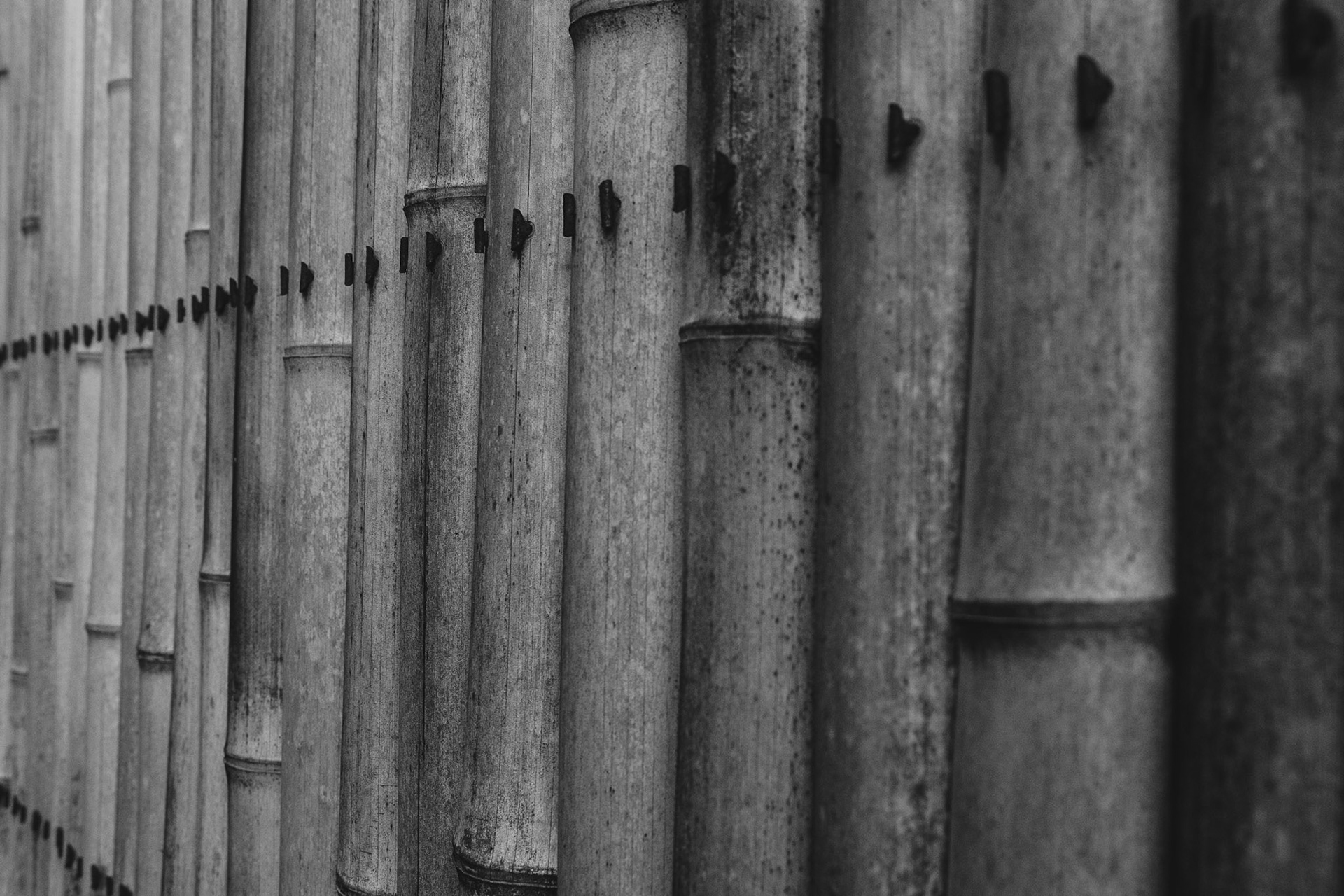 Kyoto - Shugakuin Imperial Villa