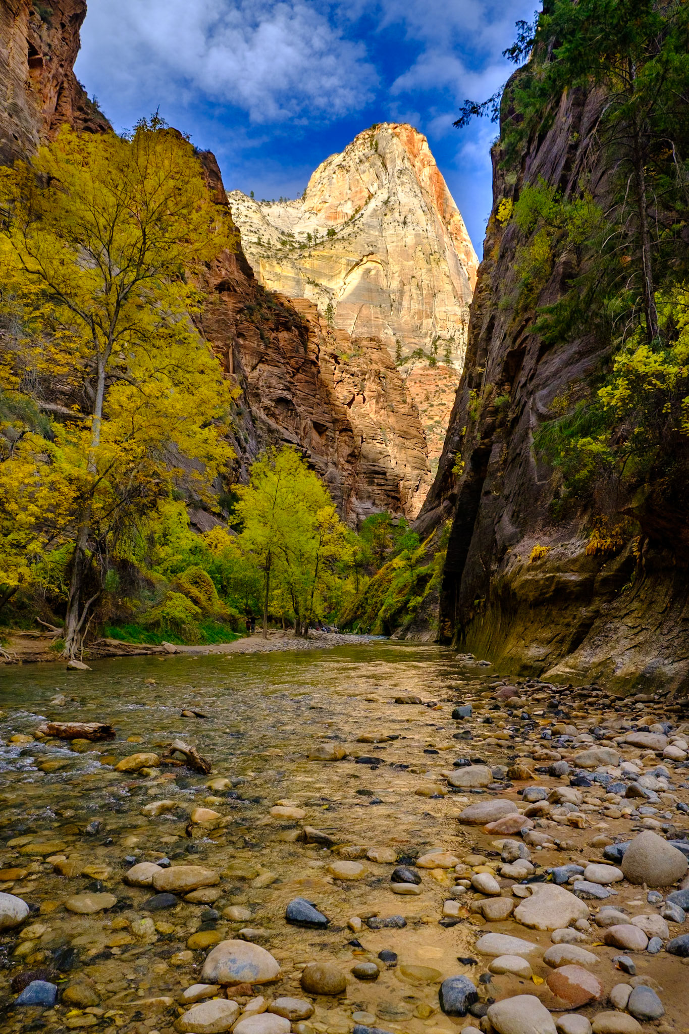 Utah Trip 2021Zion National Park - Riverside Walk Trail