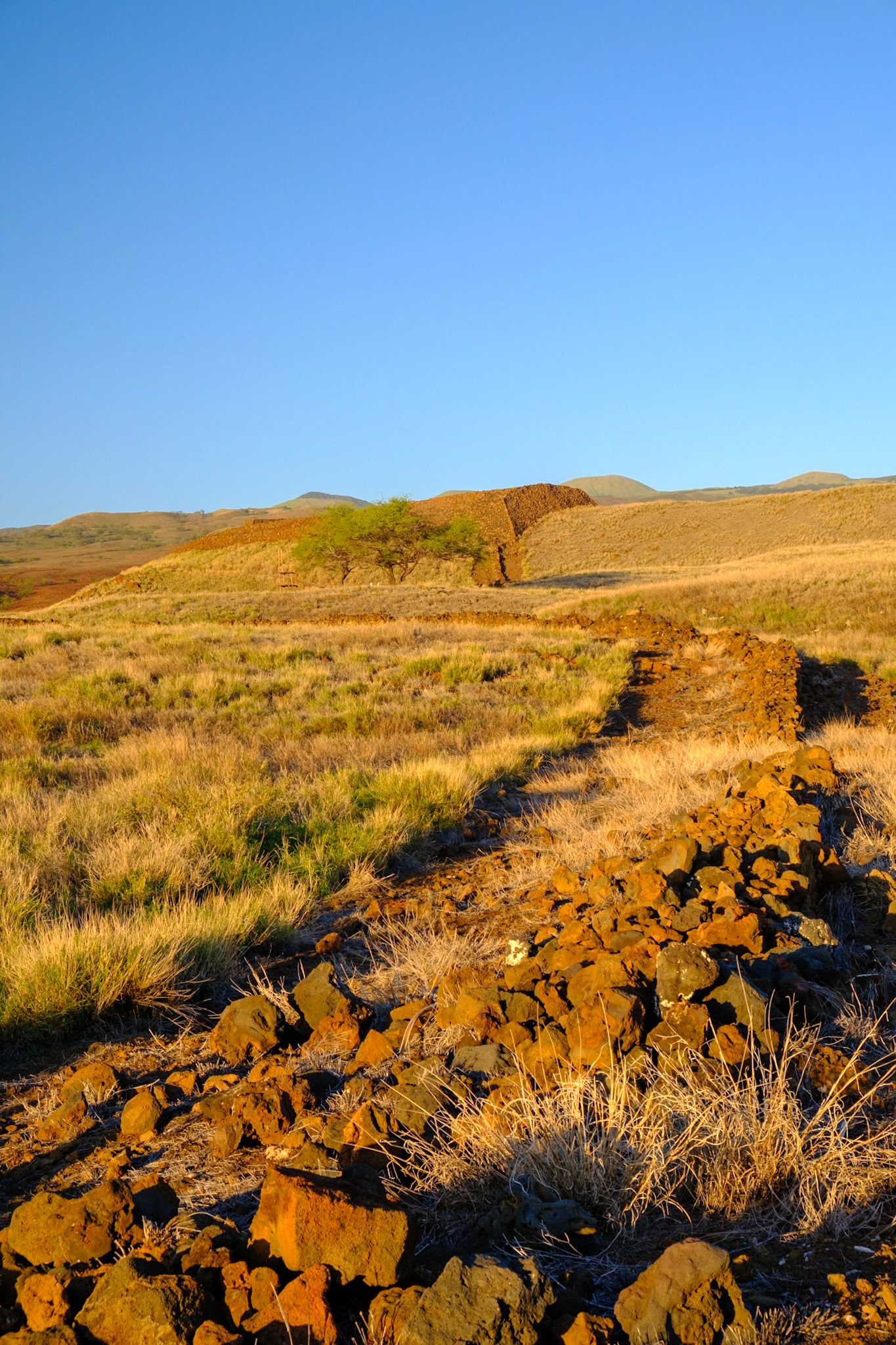 The Heiau at Pu’ukohola Heiau National Historic Site
