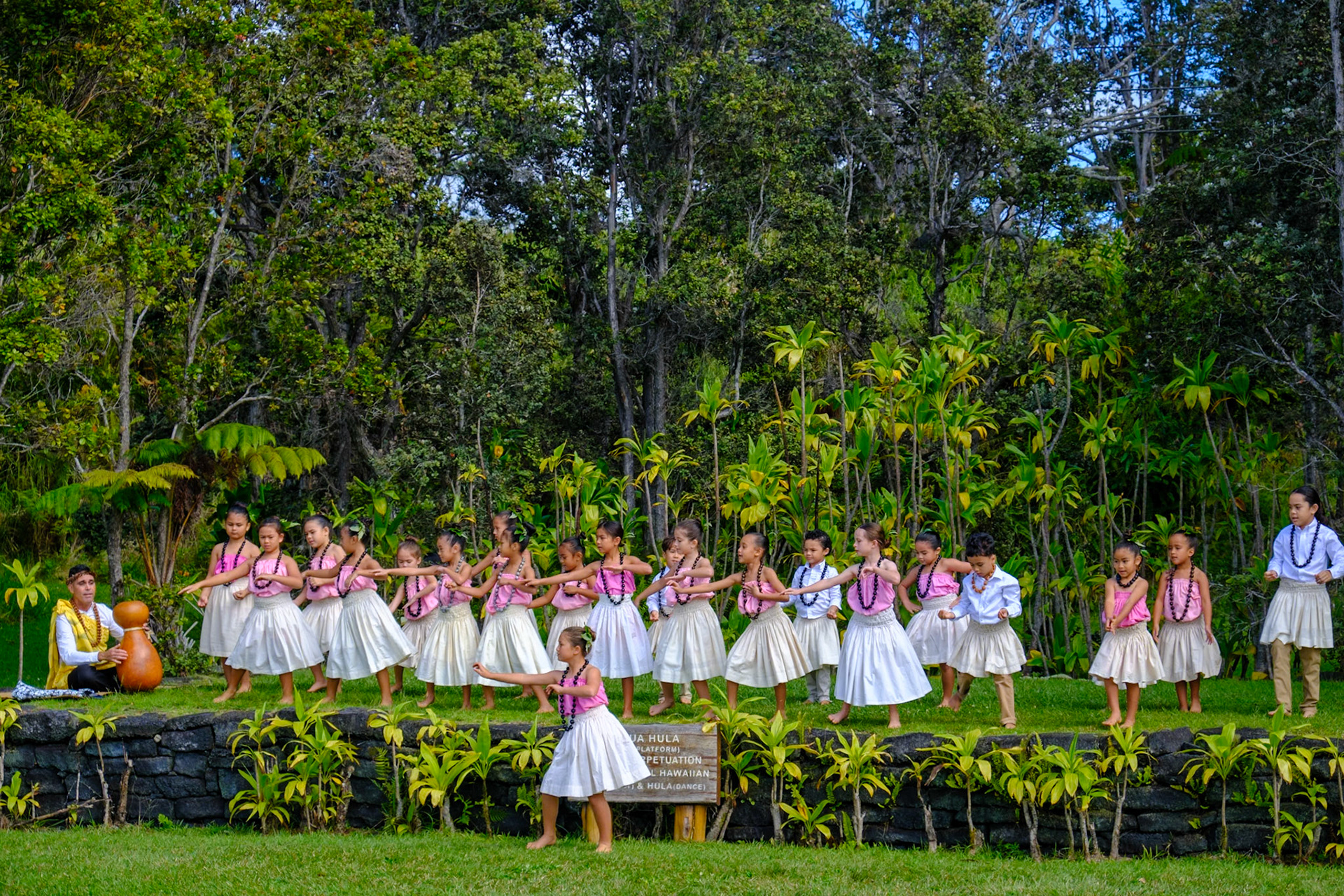 Hula Performance, Volcano National Park