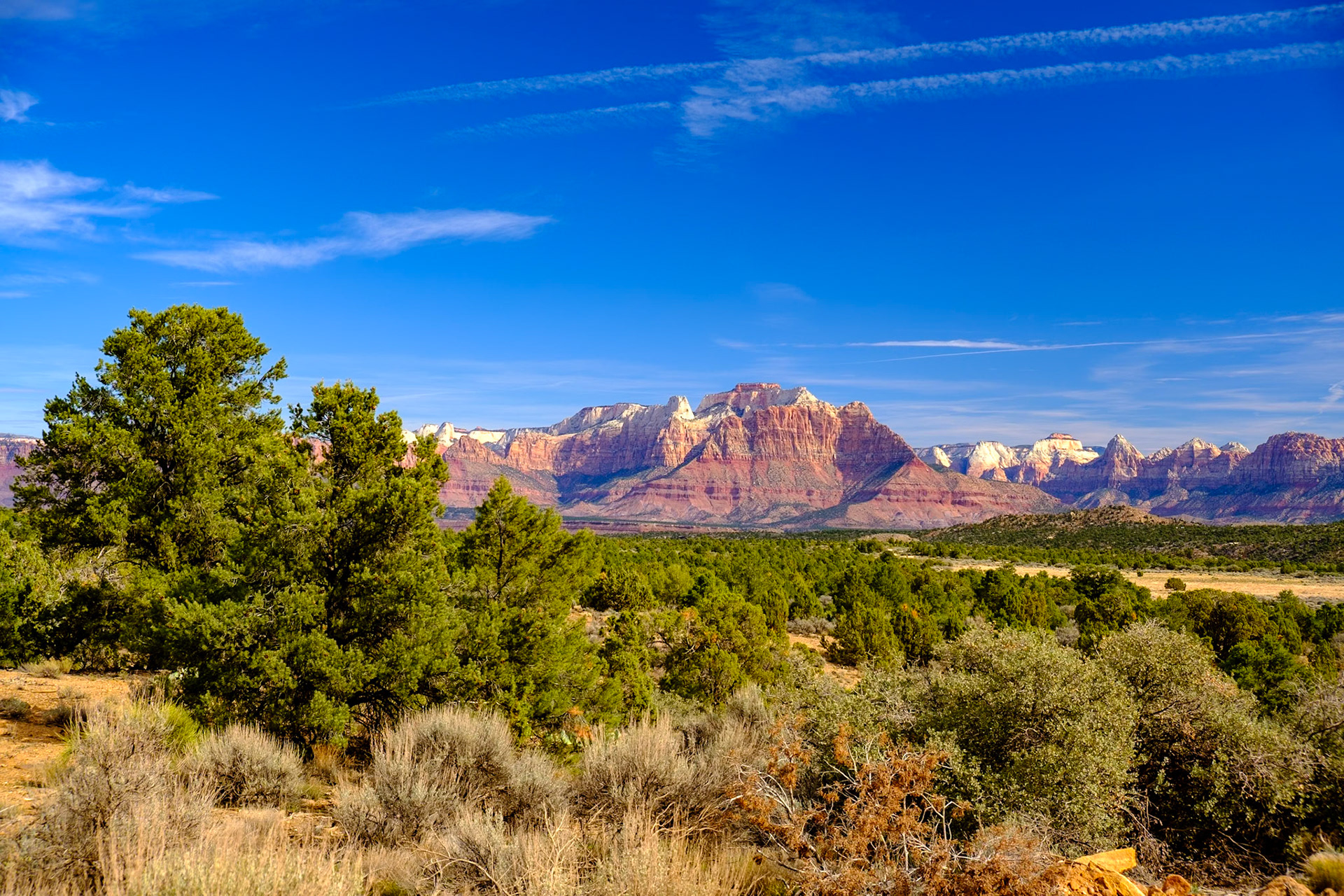 Utah Trip 2021Zion National Park - Jeep Safari to Grafton and Gooseberry Mesa - View from Gooseberry Mesa