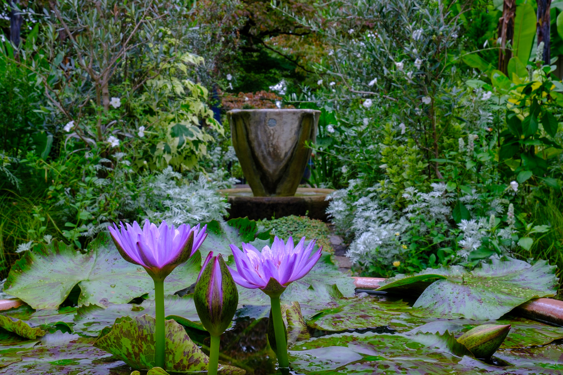 Chanticleer Photo Class September 2023