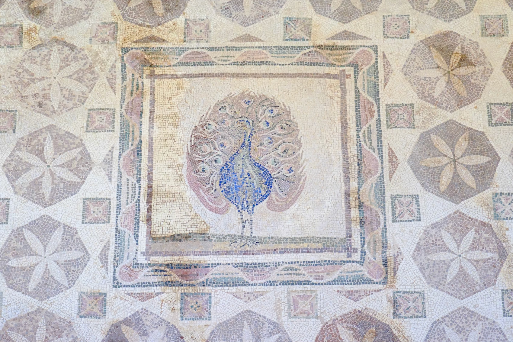 Nea Paphos Archaeological Site - Peacock Mosaic