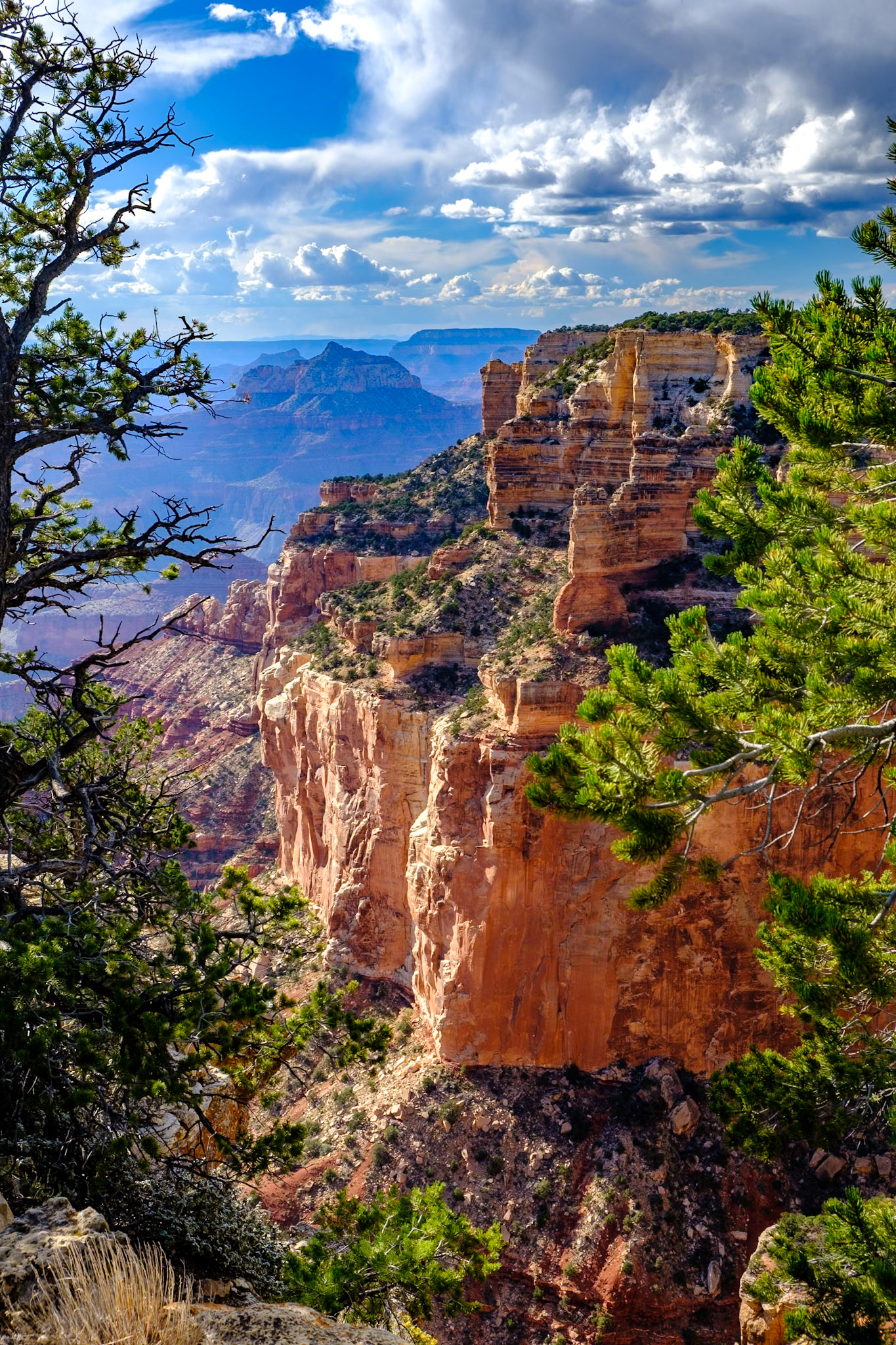 Grand Canyon - Cape Royal Point