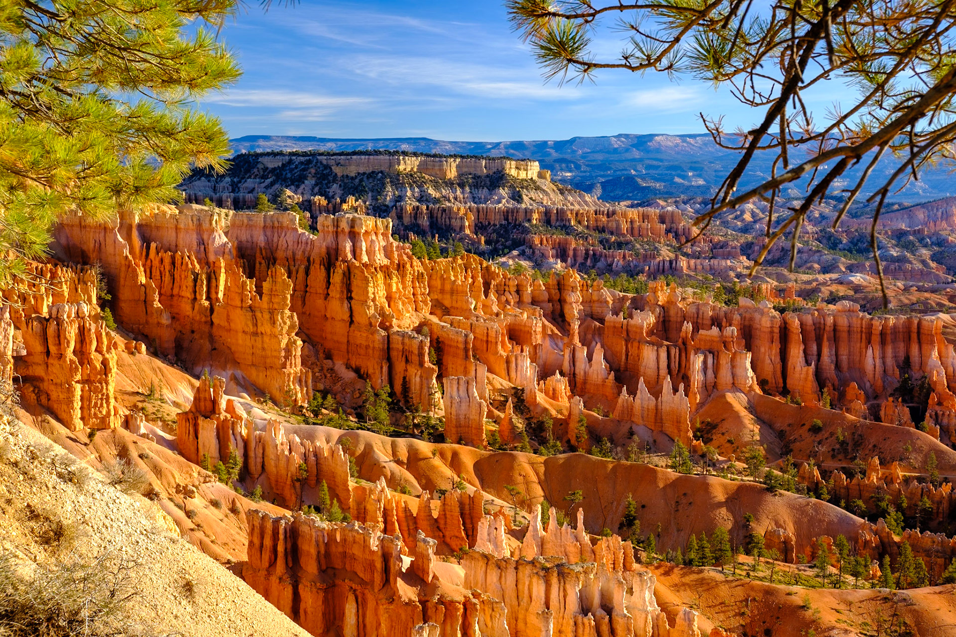 Utah Trip 2021Bryce Canyon National Park - Sunset Point